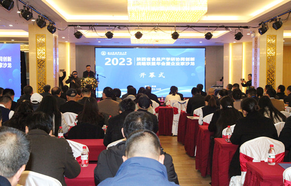 大会开幕式会场_副本.jpg