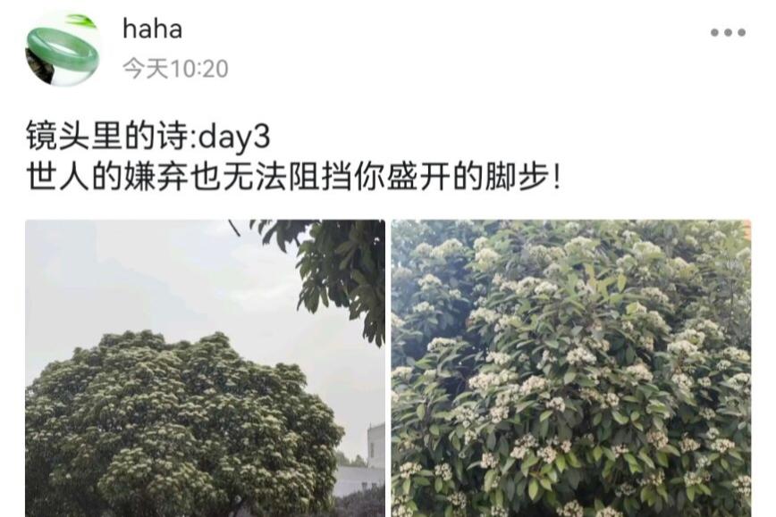 图四.jpg