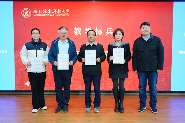 DSC00377-opq4317340188 (1)_副本.jpg