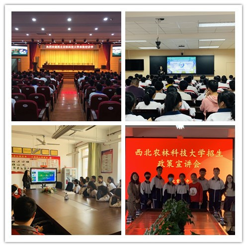 initpintu_副本.jpg