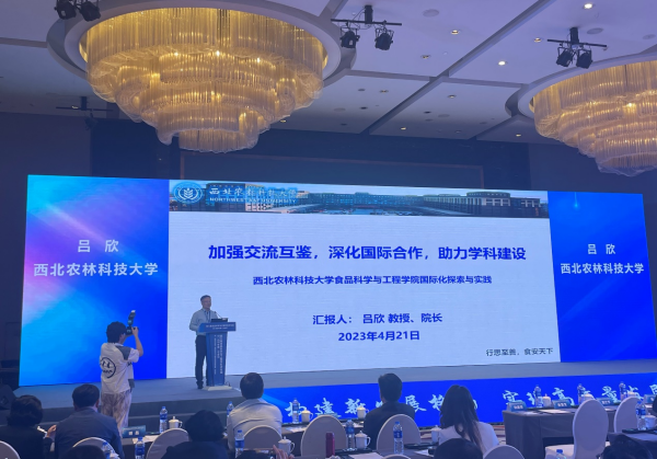 图片5_副本.png